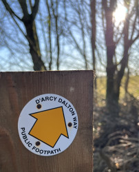 The Darcy Dalton Way