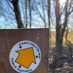 The Darcy Dalton Way