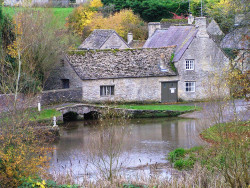 Shilton Ford