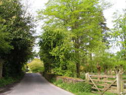 Southrop village