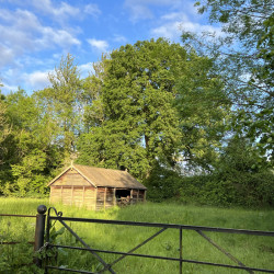 Southrop owl barn