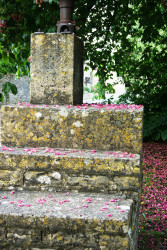 Shilton steps