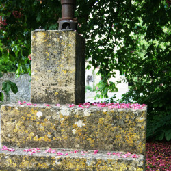 Shilton steps