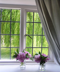 Flowers on the windowsill