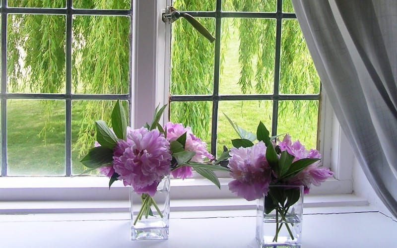 Flowers on the windowsill