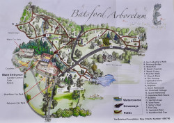 Batsford arboretum map