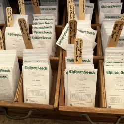 Seeds Burford garden centre