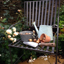 Bulb planting