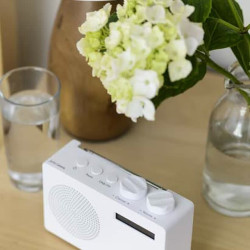 Digital radio and hydrangea