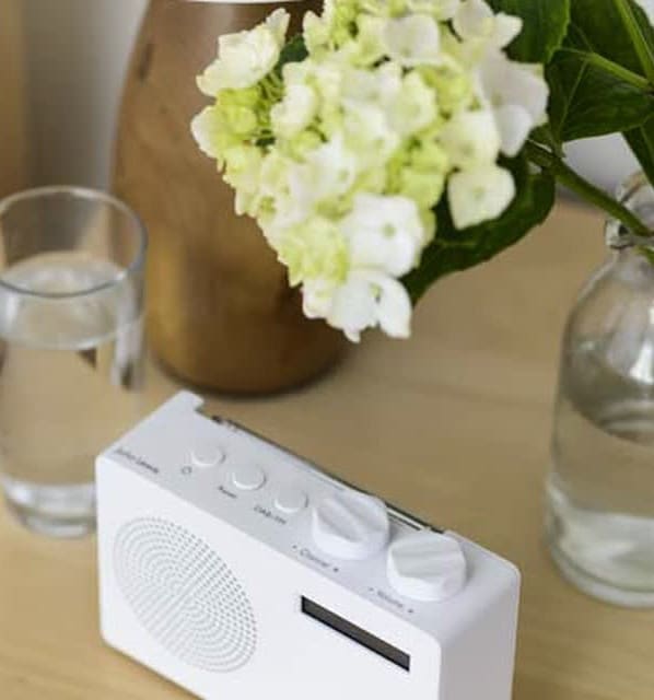 Digital radio and hydrangea