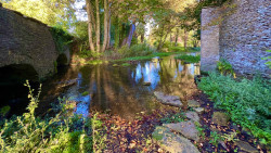 The Leach at Southrop