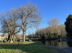 The Chestnuts and the ford