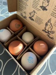 Cacklebean eggs