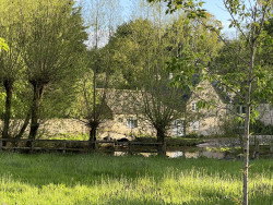 The Ford