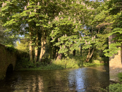 The Leach at Southrop