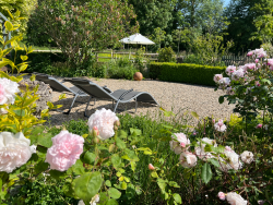The Chestnuts garden summer