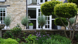 The Chestnuts rear garden