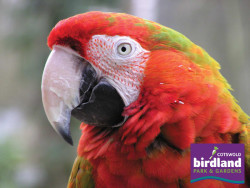 Birdland Park and Gardens 5