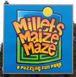 Millets Maize Maze