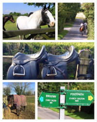 Riding in The Cotswolds