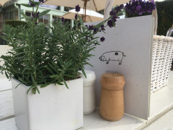 The Old Spot cafe Daylesford