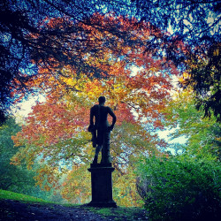 Autumn in the Cotswolds