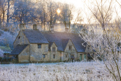Arlington row in winter
