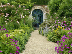 Rousham garden