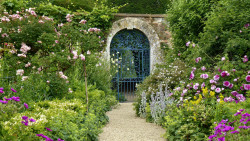 Rousham garden