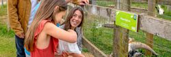 Fairytale Farm