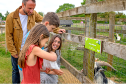 Fairytale Farm