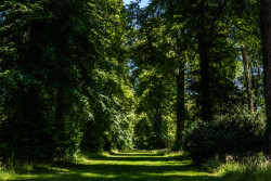Westonbirt