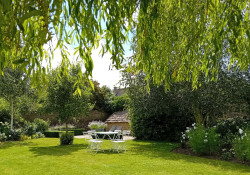 Culls Cottage rest under the willow tree