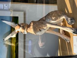 Burford art gallery