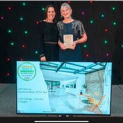 Iona picking up our Gold Award