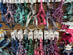 Dog collars and leads a plenty