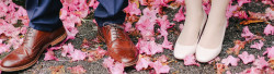 photos-by-lanty-tzfdoTi8e2E-unsplash