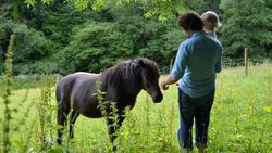A man holding a young child feeds a dark brown pony in a lush green meadow, surrounded by tall grass and trees. The pony gazes at them while they interact.