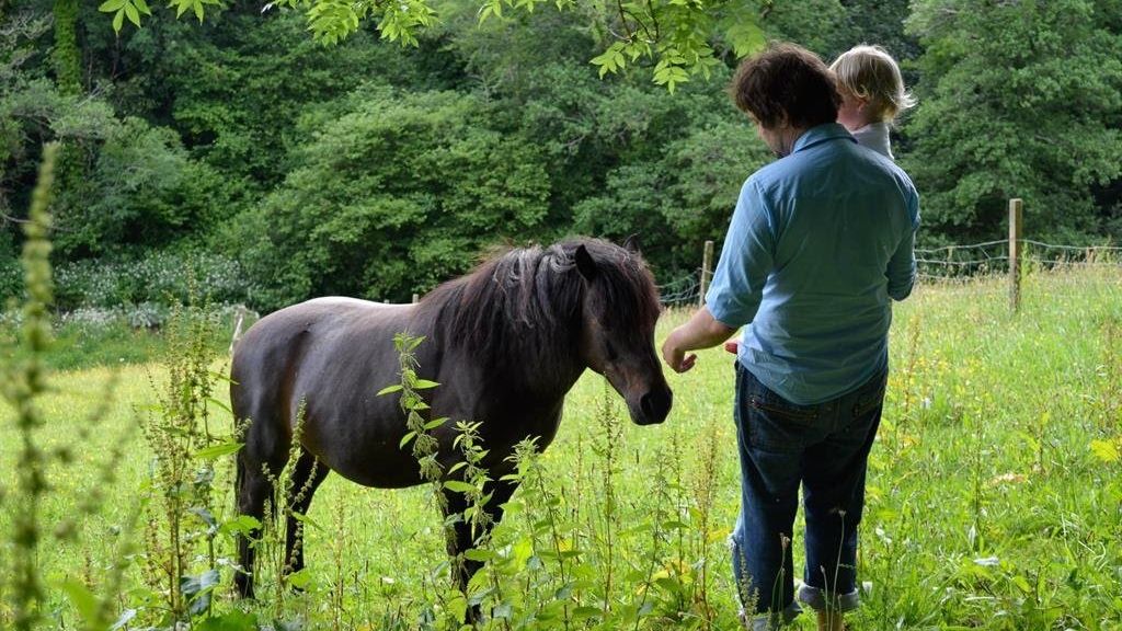 A man holding a young child feeds a dark brown pony in a lush green meadow, surrounded by tall grass and trees. The pony gazes at them while they interact.