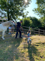 A man leads a cream-colored horse by a red rope while a young girl walks beside him. A group of children and adults watch from the background on a sunny day.