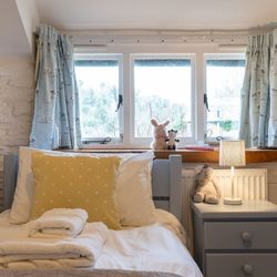 Ducks Nest childrens room