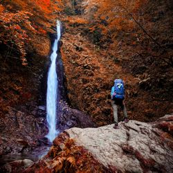 A hiker with a blue backpack stands on a rock, gazing at a tall waterfall surrounded by autumn foliage in shades of orange and red. The forest feels peaceful and remote.
