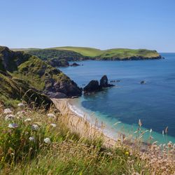 A scenic coastal view with wildflowers in the foreground, rugged green cliffs, a secluded sandy beach, and clear blue waters stretching to the horizon under a bright sky.