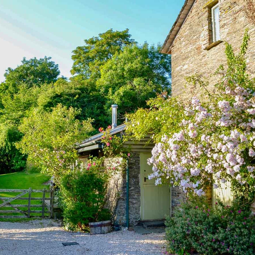 Blossom trees outside house