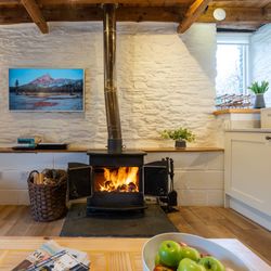 1843 log burner