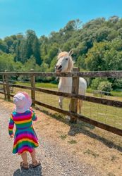 Girl looking at horse