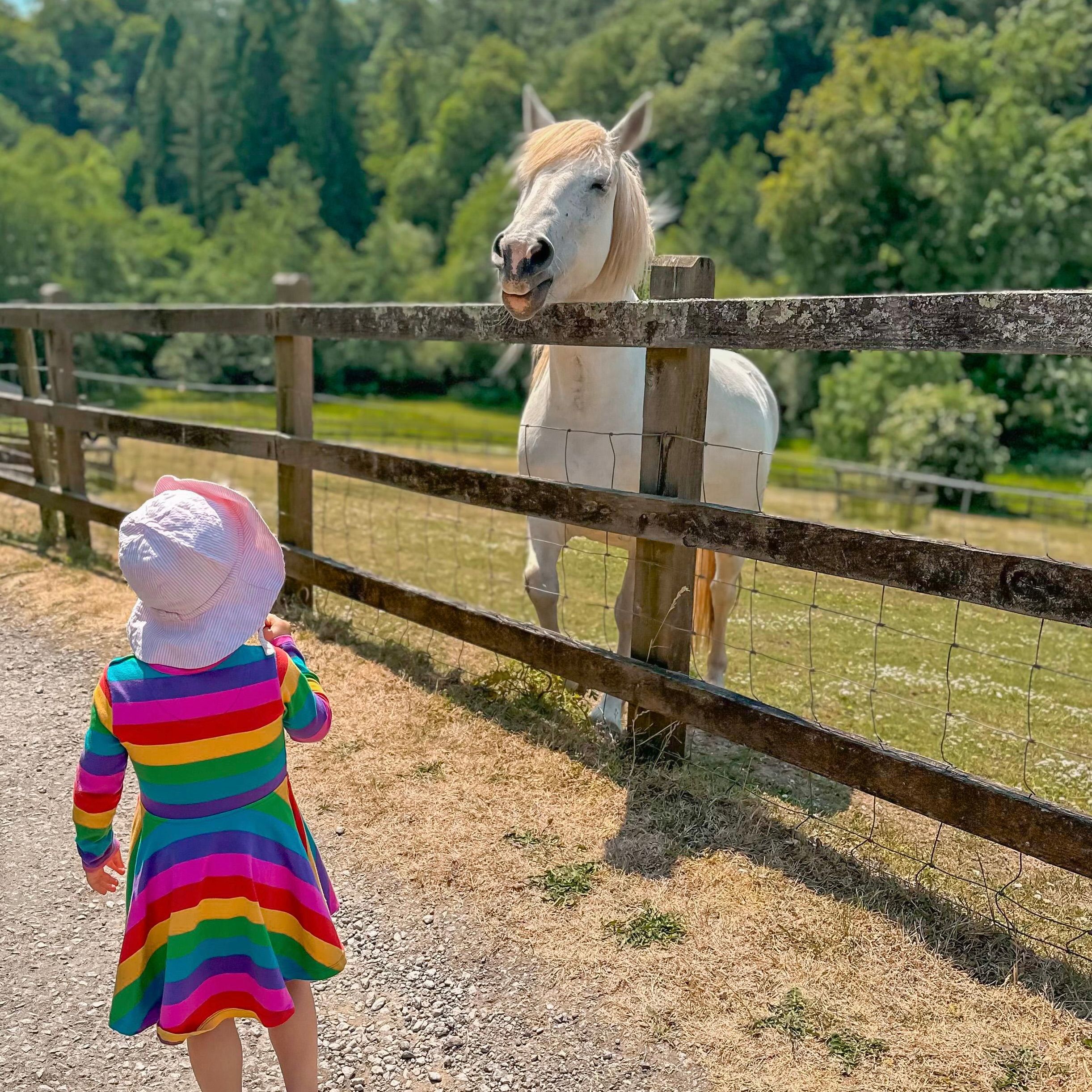 Girl looking at horse