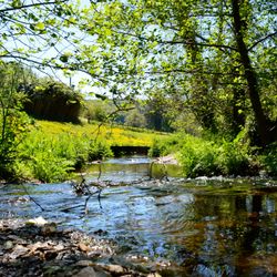 The river at the bottom of flear house