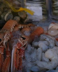 Catch of the Day - Flear Farm Cottages