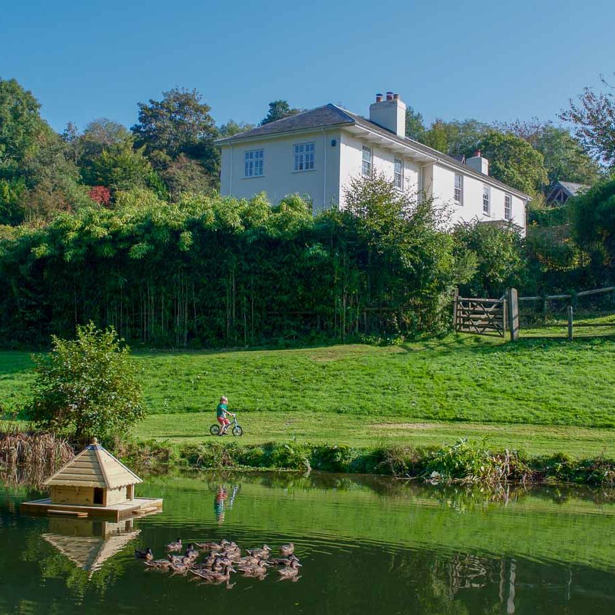 A scenic countryside view with a pond, a floating duck house, and a group of ducks. A child rides a bike on a grassy path, with a white house nestled among trees.